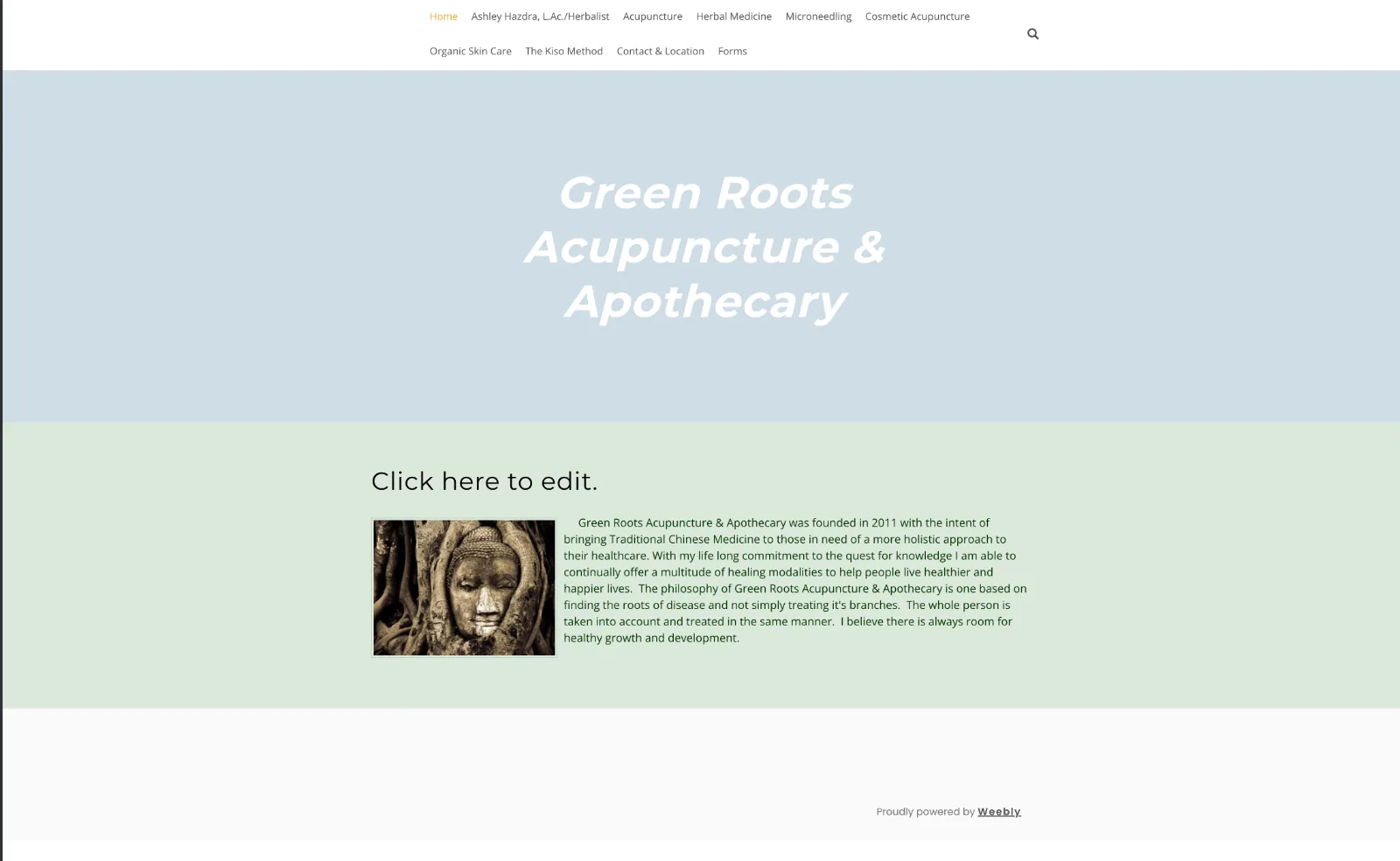 Green Roots Acupuncture — before redesign